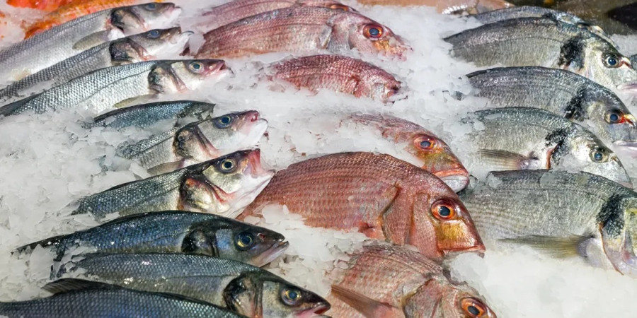 NOVA REGULAMENTA��O: Produtos com menos de 50% de pescado: o que muda na pr�tica